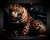🐆 Leopard Background
