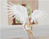 Pure ANgel Wings