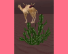 *Desert Cactus