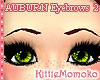 ! K ! AUBURN Eyebrows 2