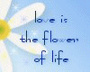 Love Is The Flower