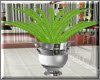 Leafy Room Plant Mf1