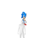 sonic flag