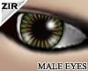 {Zir}Smart GreenB eyes9