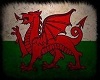 richards welsh dragon