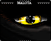M; Gata Negra Eyes