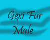 |G| Gexi FurM
