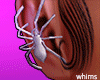 Black Widow Face Spiders