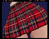 .Z. Sexy Skirt