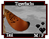 Tigerfuchs Tail