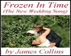 Frozen In Time (Wedding)