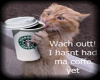 coffee cat  sticker