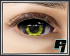 PI: Yellow Eyes