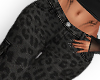 M! Leopard Cargo S