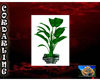 Green Black Tall Plant