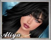 A* Jobyna black +bangs