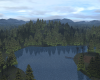 Huge Forest w/ Trails