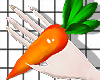 空 Carrot Hand 空