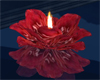 Float Red Flower candles