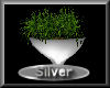 [my]Silver Wall Plant