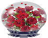 a dozen roses globe
