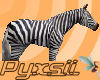 Zebra (pet)