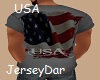 USA Shirt Gray