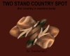 TWO STAND COUNTRY SPOT