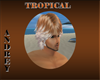 ( ADY ) TROPICAL HAIR