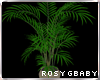 [RGB] Potted Plant 3