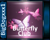 [BD] Butterfly Club