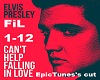 Falling In Love-Elvis Pr