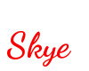 skye floor sign