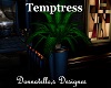 temptress plant 2