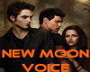 New Moon Voice Box