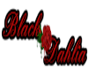 Black Dahlias Tee