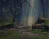 In the Woods Again