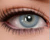 Perfect eye SL