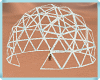 MAU/ ANIM C0ACHELLA DOME