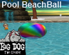 [BD] Pool BeachBall
