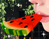 ♡ Watermelon