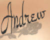 Andrew tattoo [F]