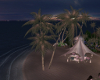 Calm Night Palm Trees