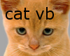 kitty cat vb