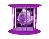 Purple Rose Wall Cage