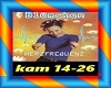 Blümchen - Stern  P2