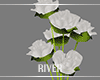 R" Design Flowers