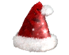 Sml. Anim. Santa's Hat