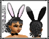 !Black Bunny Ears