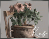Rus Chair Planter